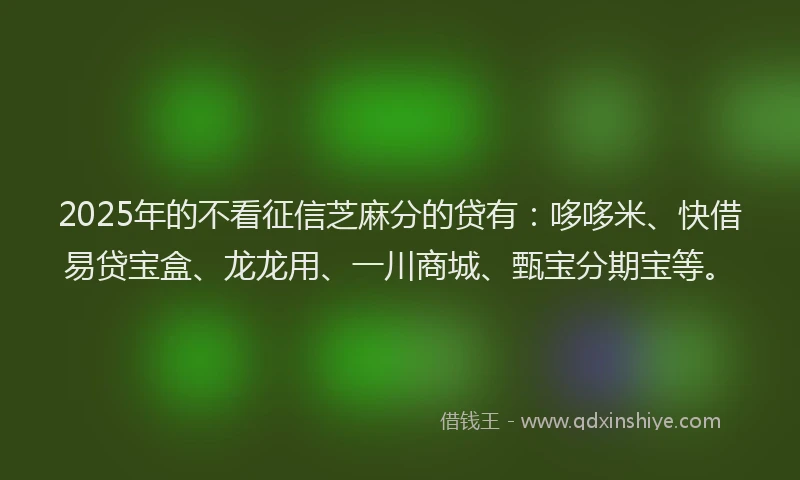 2025年的不看征信芝麻分的贷有：哆哆米、快借易贷宝盒、龙龙用、一川商城、甄宝分期宝等。