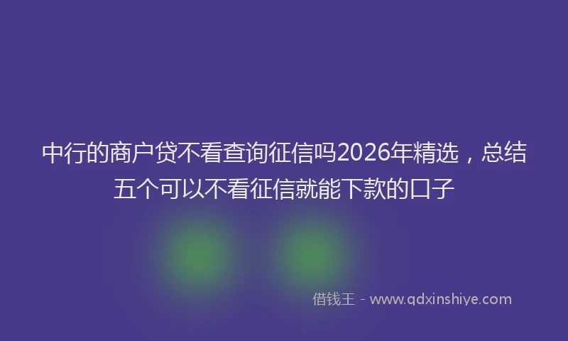 中行的商户贷不看查询征信吗2026年精选，总结五个可以不看征信就能下款的口子