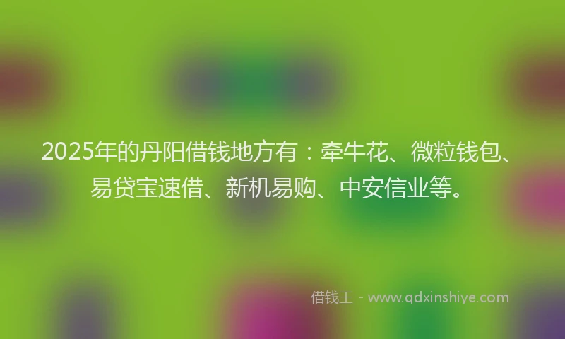 2025年的丹阳借钱地方有：牵牛花、微粒钱包、易贷宝速借、新机易购、中安信业等。