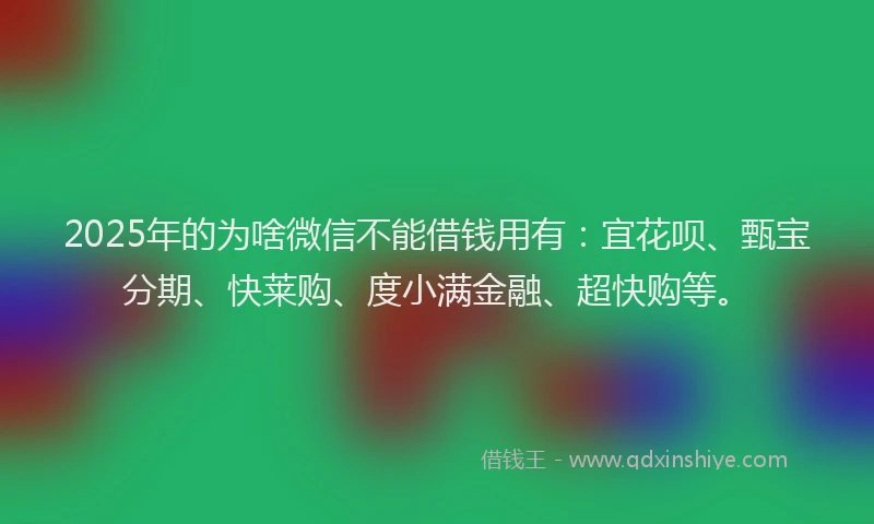 2025年的为啥微信不能借钱用有:宜花呗、甄宝分期、快莱购、度小满金融、超快购等。