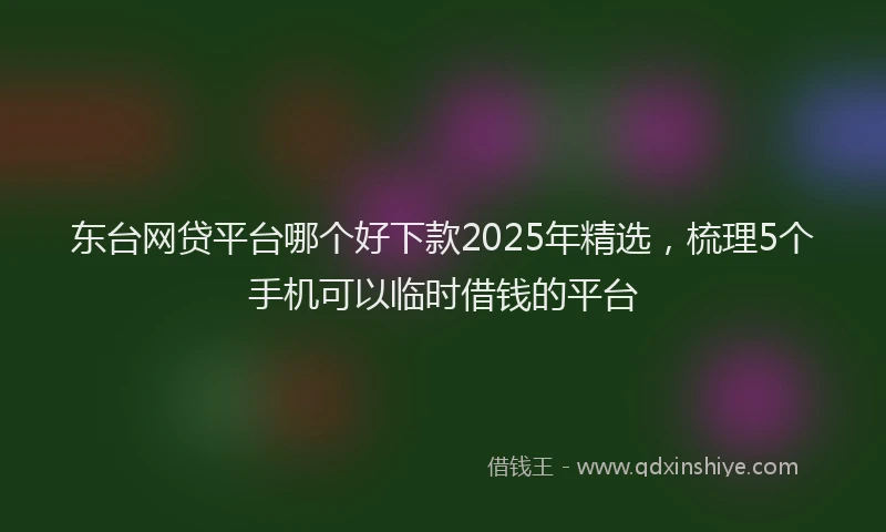 东台网贷平台哪个好下款2025年精选，梳理5个手机可以临时借钱的平台