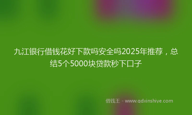 九江银行借钱花好下款吗安全吗2025年推荐，总结5个5000块贷款秒下口子