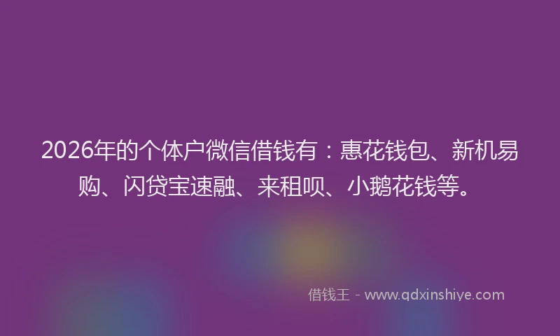 2026年的个体户微信借钱有：惠花钱包、新机易购、闪贷宝速融、来租呗、小鹅花钱等。