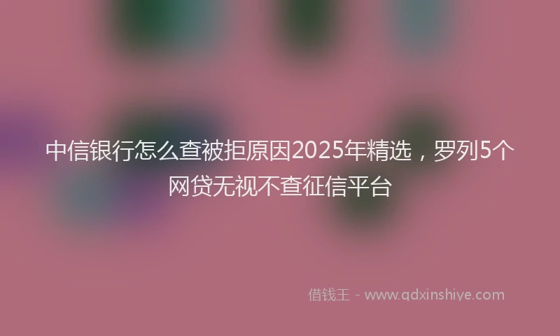 中信银行怎么查被拒原因2025年精选，罗列5个网贷无视不查征信平台
