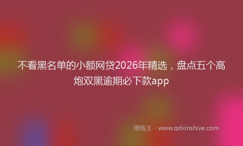 不看黑名单的小额网贷2026年精选，盘点五个高炮双黑逾期必下款app