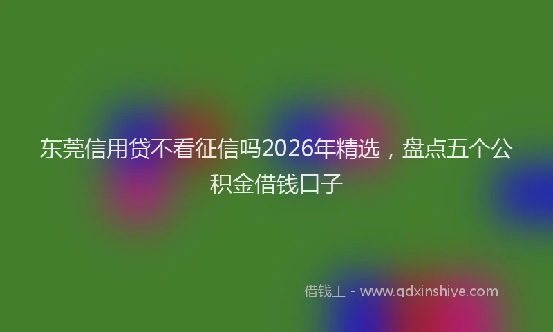 东莞信用贷不看征信吗2026年精选，盘点五个公积金借钱口子