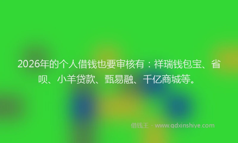 2026年的个人借钱也要审核有：祥瑞钱包宝、省呗、小羊贷款、甄易融、千亿商城等。