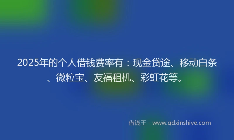 2025年的个人借钱费率有：现金贷途、移动白条、微粒宝、友福租机、彩虹花等。
