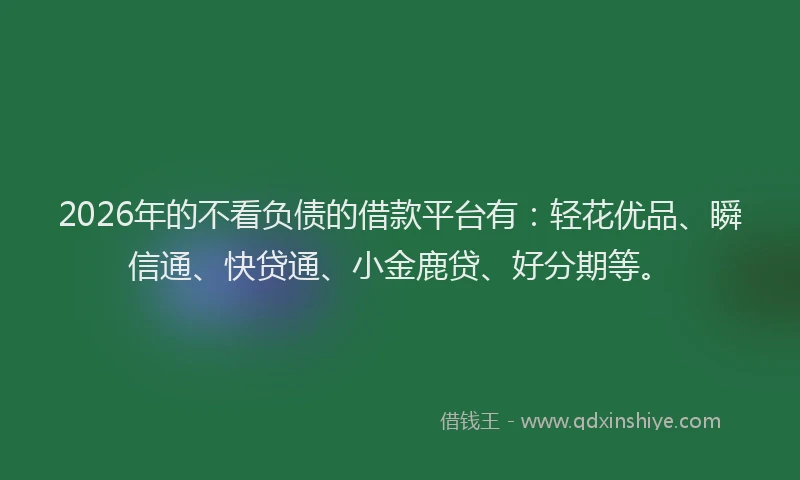 2026年的不看负债的借款平台有:轻花优品、瞬信通、快贷通、小金鹿贷、好分期等。