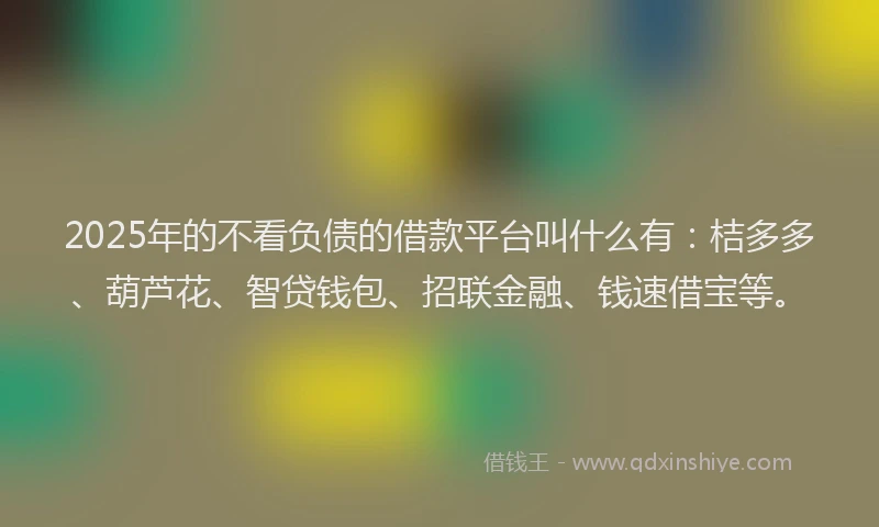 2025年的不看负债的借款平台叫什么有：桔多多、葫芦花、智贷钱包、招联金融、钱速借宝等。