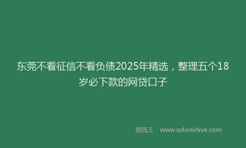 东莞不看征信不看负债2025年精选，整理五个18岁必下款的网贷口子