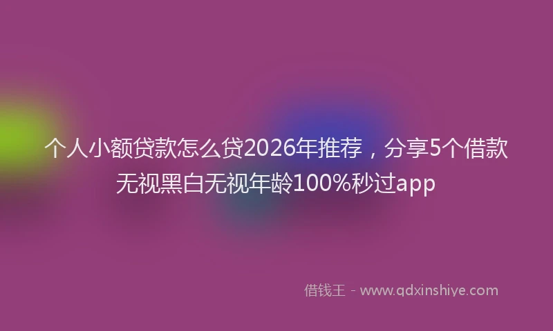 个人小额贷款怎么贷2026年推荐，分享5个借款无视黑白无视年龄100%秒过app