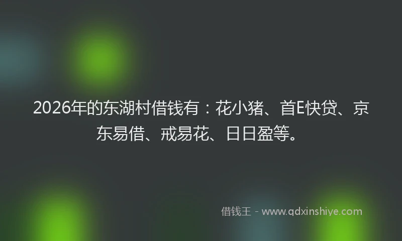2026年的东湖村借钱有：花小猪、首E快贷、京东易借、戒易花、日日盈等。