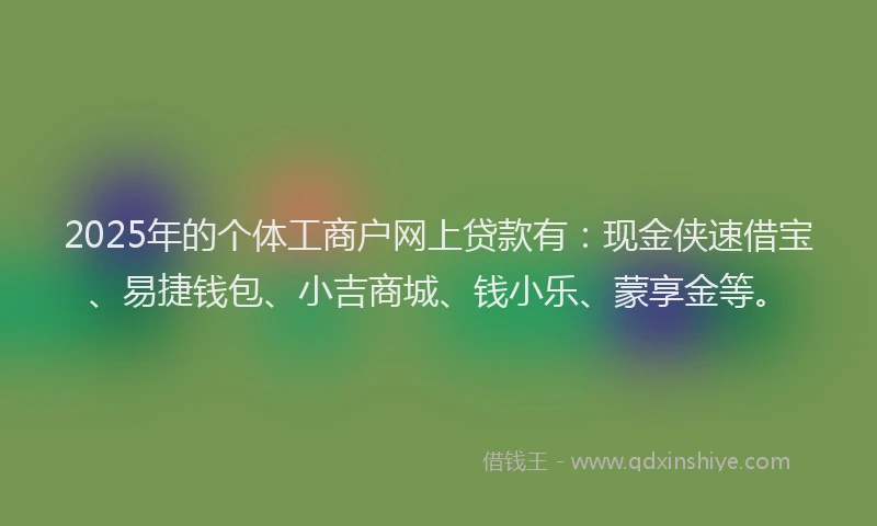 2025年的个体工商户网上贷款有：现金侠速借宝、易捷钱包、小吉商城、钱小乐、蒙享金等。