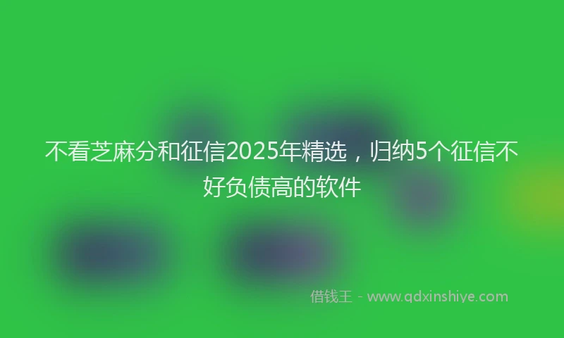 不看芝麻分和征信2025年精选，归纳5个征信不好负债高的软件