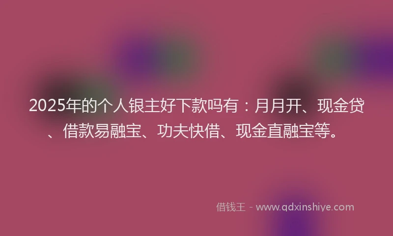 2025年的个人银主好下款吗有：月月开、现金贷、借款易融宝、功夫快借、现金直融宝等。