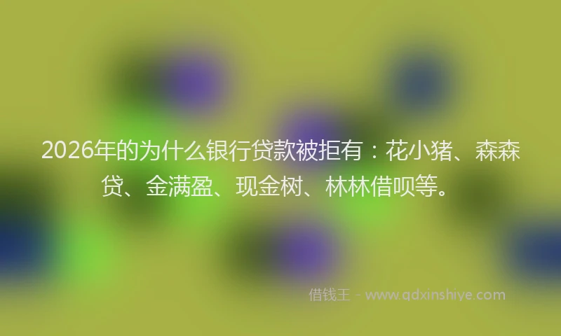 2026年的为什么银行贷款被拒有：花小猪、森森贷、金满盈、现金树、林林借呗等。