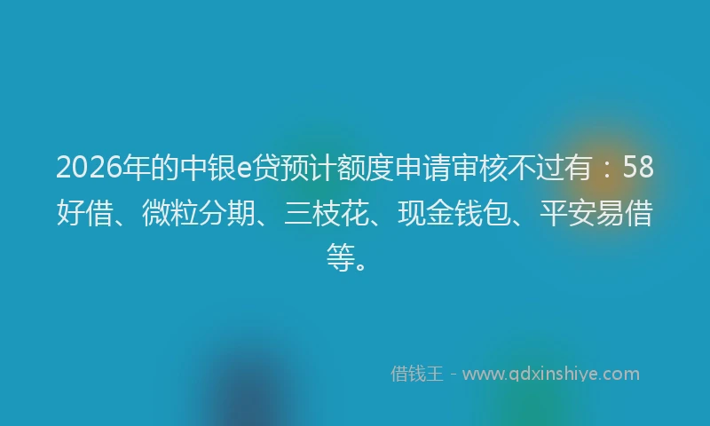 2026年的中银e贷预计额度申请审核不过有：58好借、微粒分期、三枝花、现金钱包、平安易借等。