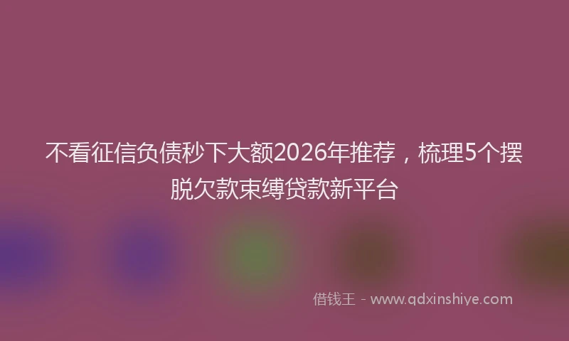 不看征信负债秒下大额2026年推荐，梳理5个摆脱欠款束缚贷款新平台
