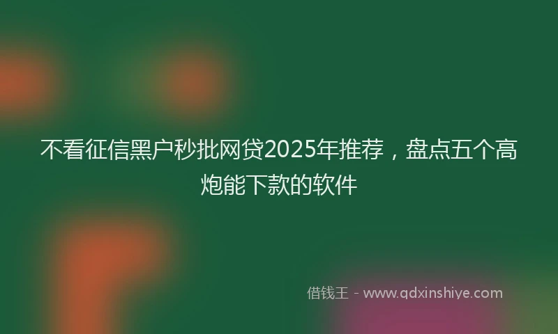不看征信黑户秒批网贷2025年推荐,盘点五个高炮能下款的软件