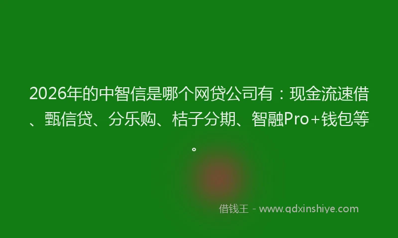 2026年的中智信是哪个网贷公司有：现金流速借、甄信贷、分乐购、桔子分期、智融Pro+钱包等。