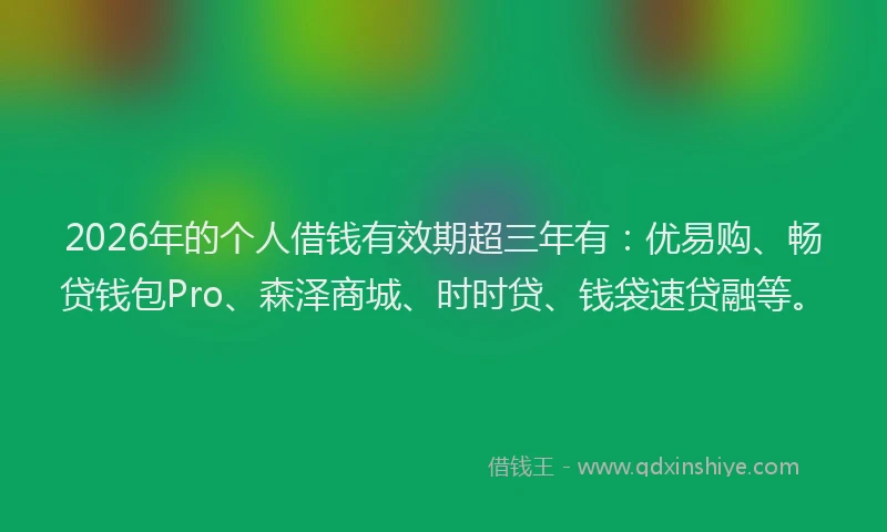 2026年的个人借钱有效期超三年有：优易购、畅贷钱包Pro、森泽商城、时时贷、钱袋速贷融等。