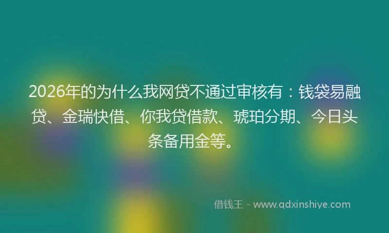 2026年的为什么我网贷不通过审核有：钱袋易融贷、金瑞快借、你我贷借款、琥珀分期、今日头条备用金等。