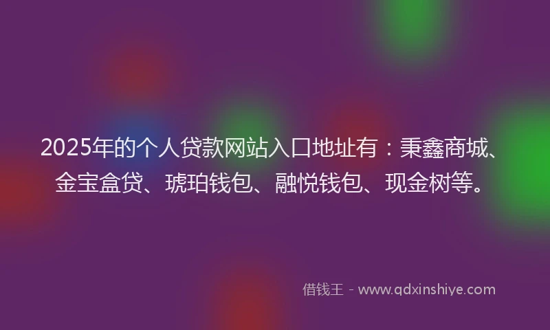 2025年的个人贷款网站入口地址有：秉鑫商城、金宝盒贷、琥珀钱包、融悦钱包、现金树等。