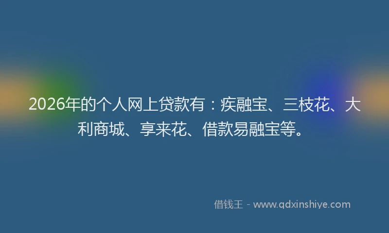 2026年的个人网上贷款有：疾融宝、三枝花、大利商城、享来花、借款易融宝等。