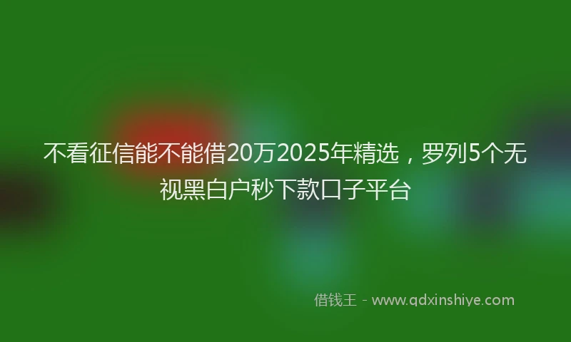 不看征信能不能借20万2025年精选，罗列5个无视黑白户秒下款口子平台
