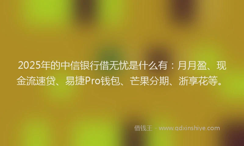 2025年的中信银行借无忧是什么有：月月盈、现金流速贷、易捷Pro钱包、芒果分期、浙享花等。