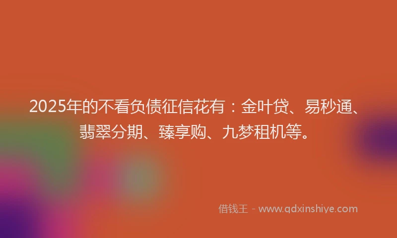 2025年的不看负债征信花有:金叶贷、易秒通、翡翠分期、臻享购、九梦租机等。