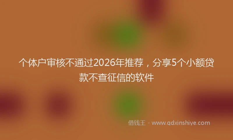 个体户审核不通过2026年推荐，分享5个小额贷款不查征信的软件