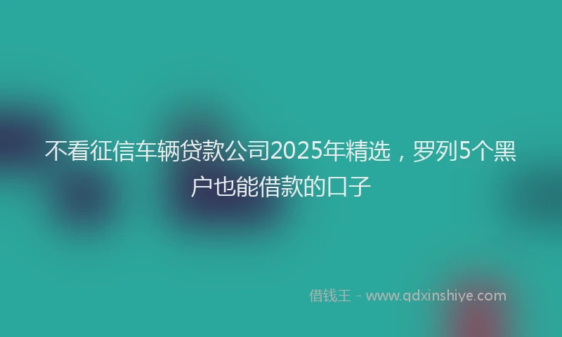 不看征信车辆贷款公司2025年精选,罗列5个黑户也能借款的口子