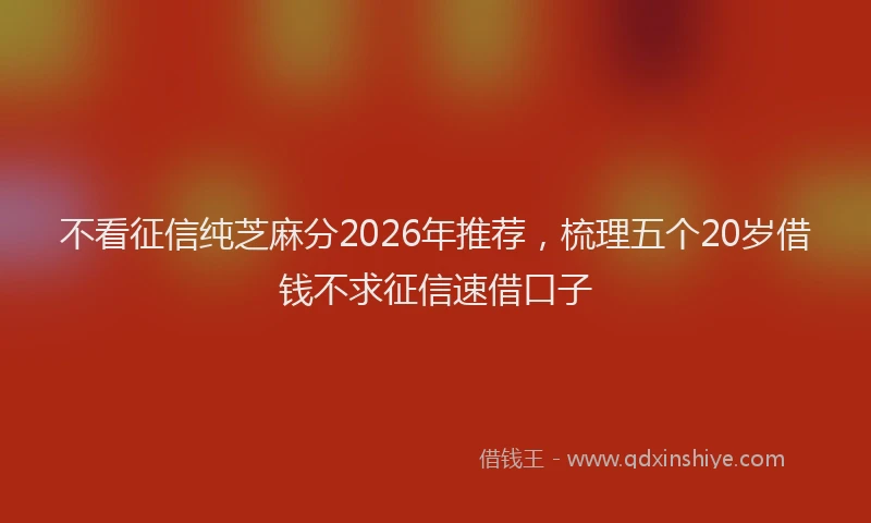 不看征信纯芝麻分2026年推荐，梳理五个20岁借钱不求征信速借口子