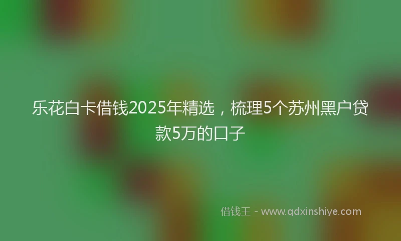 乐花白卡借钱2025年精选，梳理5个苏州黑户贷款5万的口子