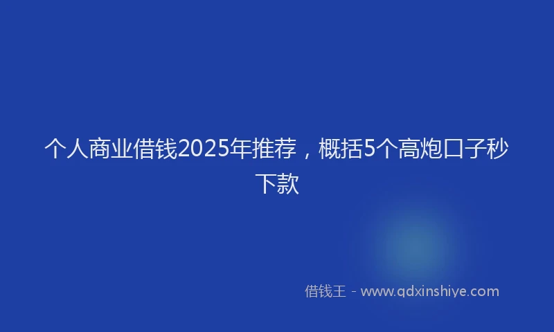 个人商业借钱2025年推荐，概括5个高炮口子秒下款