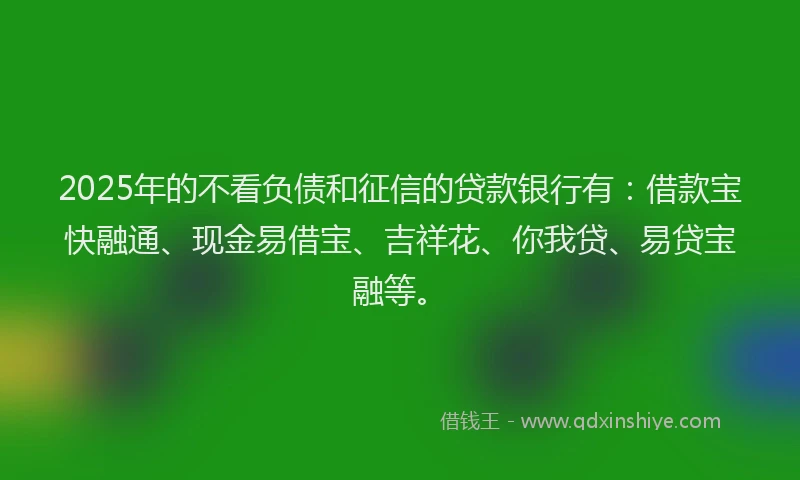 2025年的不看负债和征信的贷款银行有：借款宝快融通、现金易借宝、吉祥花、你我贷、易贷宝融等。