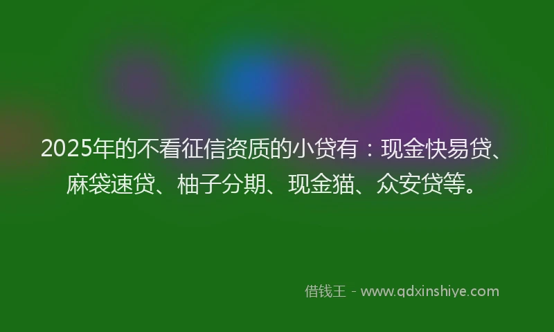 2025年的不看征信资质的小贷有：现金快易贷、麻袋速贷、柚子分期、现金猫、众安贷等。
