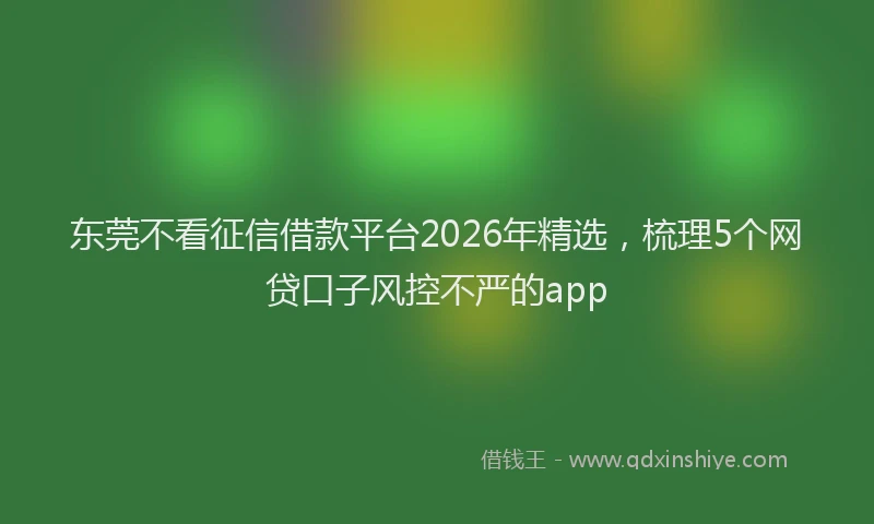 东莞不看征信借款平台2026年精选,梳理5个网贷口子风控不严的app