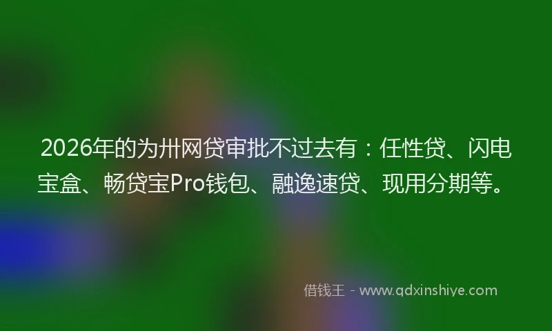 2026年的为卅网贷审批不过去有：任性贷、闪电宝盒、畅贷宝Pro钱包、融逸速贷、现用分期等。