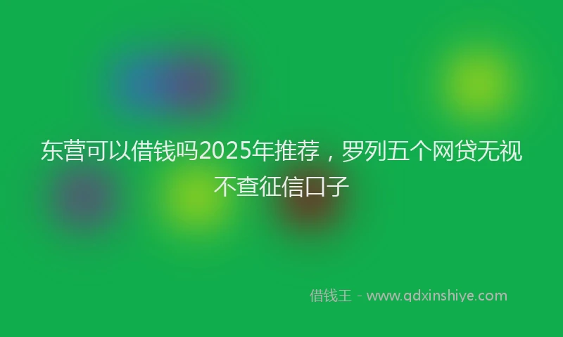 东营可以借钱吗2025年推荐,罗列五个网贷无视不查征信口子