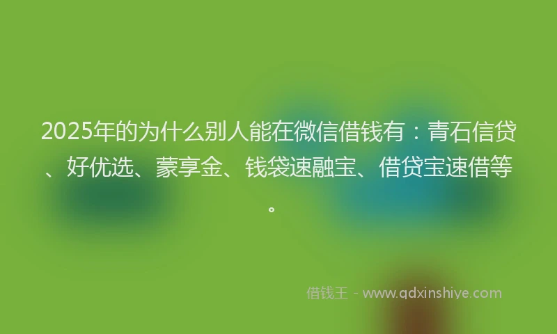 2025年的为什么别人能在微信借钱有：青石信贷、好优选、蒙享金、钱袋速融宝、借贷宝速借等。