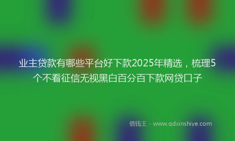 业主贷款有哪些平台好下款2025年精选，梳理5个不看征信无视黑白百分百下款网贷口子