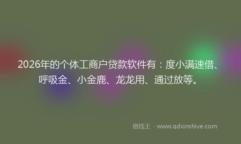 2026年的个体工商户贷款软件有：度小满速借、呼吸金、小金鹿、龙龙用、通过放等。
