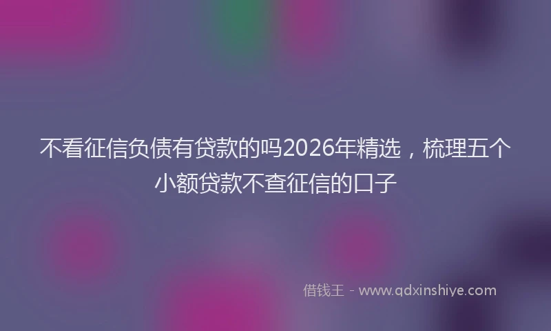 不看征信负债有贷款的吗2026年精选，梳理五个小额贷款不查征信的口子