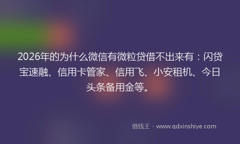 2026年的为什么微信有微粒贷借不出来有：闪贷宝速融、信用卡管家、信用飞、小安租机、今日头条备用金等。