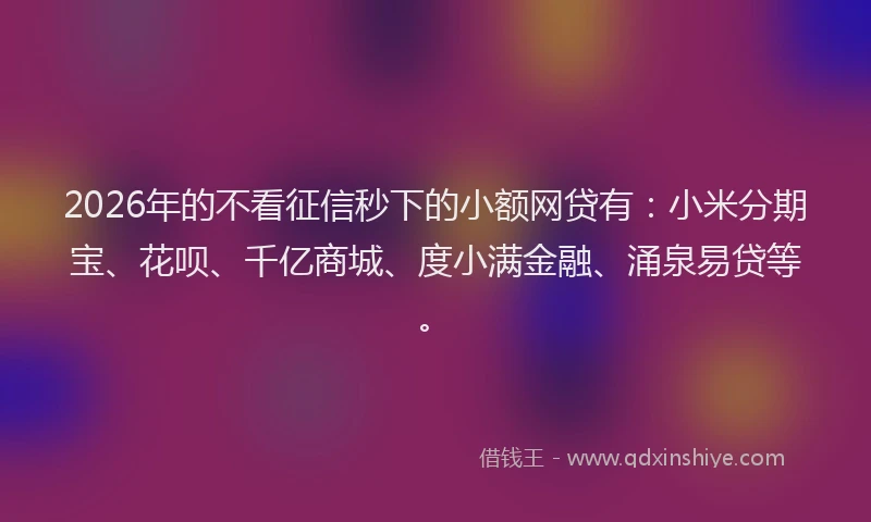 2026年的不看征信秒下的小额网贷有：小米分期宝、花呗、千亿商城、度小满金融、涌泉易贷等。