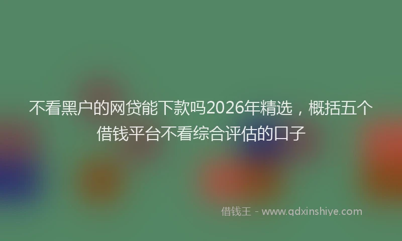 不看黑户的网贷能下款吗2026年精选，概括五个借钱平台不看综合评估的口子