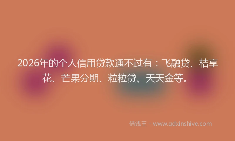 2026年的个人信用贷款通不过有：飞融贷、桔享花、芒果分期、粒粒贷、天天金等。